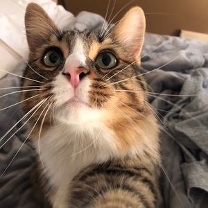 Meet your Posher, Bryan